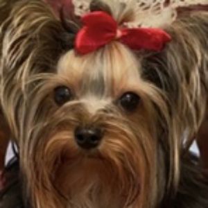 Meet your Posher, Pam